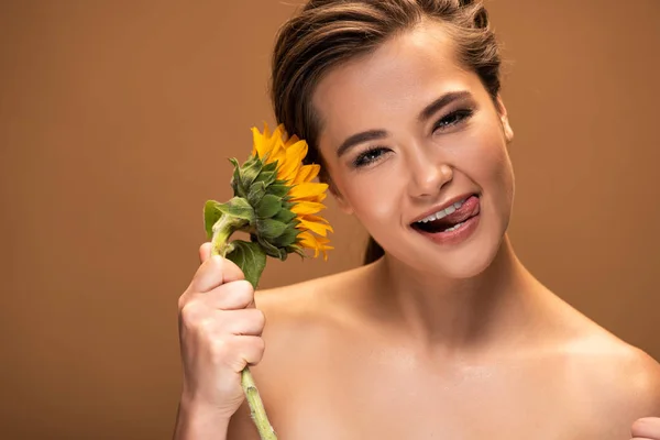 Beautiful young naked woman with yellow sunflower sticking out tongue isolated on brown — Stock Photo
