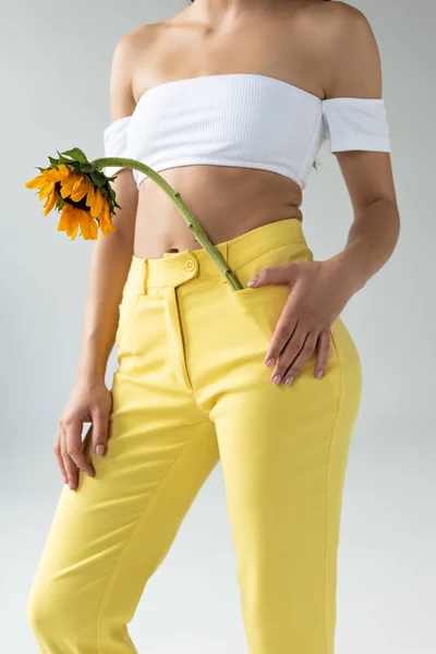 Vue recadrée d'une femme en pantalon jaune posant avec tournesol isolé sur gris — Photo de stock