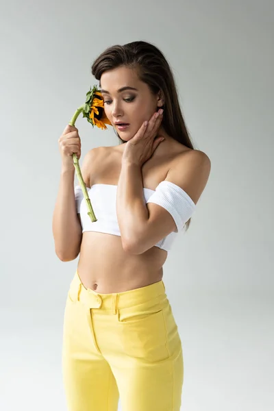 Schöne Frau in gelben Hosen posiert mit Sonnenblume isoliert auf grau — Stockfoto