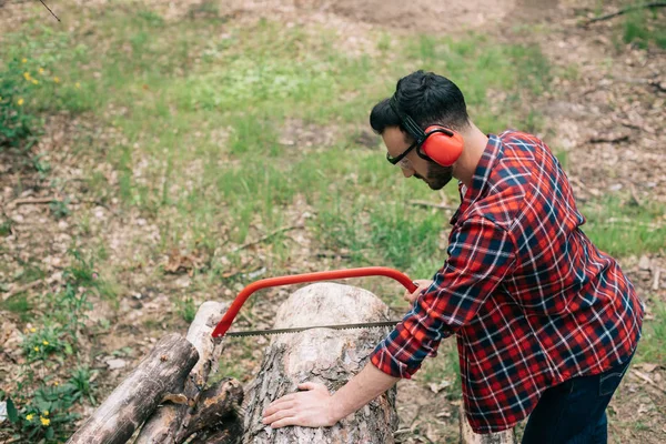 Lumberman in hearing protectors cutting tree trunk  with handsaw in forest — Stock Photo