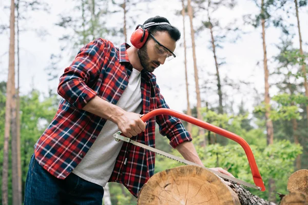 Lenhador atencioso em earmuffs corte log com serra na floresta — Fotografia de Stock