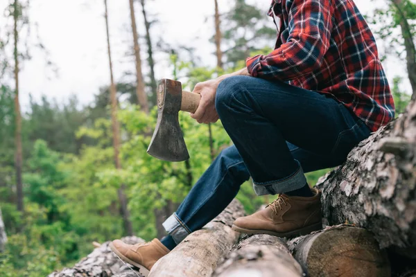 Vista recortada de leñador sosteniendo hacha mientras está sentado en troncos de árbol en el bosque - foto de stock