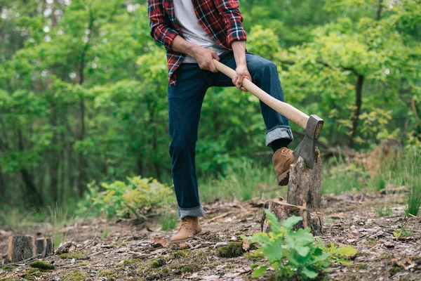 Vista parziale boscaiolo in camicia a scacchi e jeans di jeans taglio legno con ascia nella foresta — Foto stock