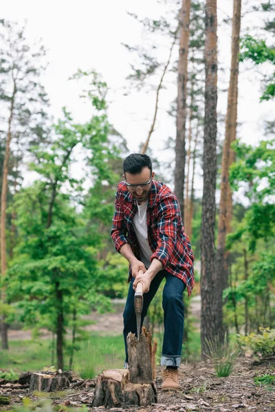 Lenhador em jeans jeans jeans e camisa xadrez corte de madeira com machado na floresta — Fotografia de Stock