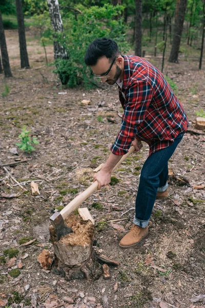 Leñador en camisa a cuadros y vaqueros tejanos cortando madera con hacha en el bosque - foto de stock