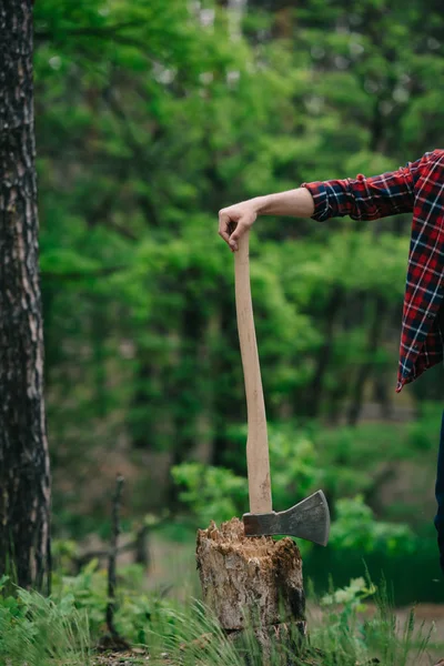 Cropped view of lumberer in checkered shirt standing with ax in forest — Stock Photo