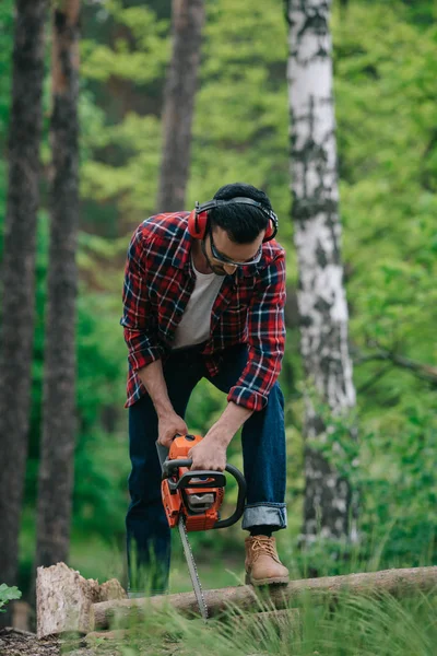 Taglialegna in protettori acustici tagliare il legno con motosega nel bosco — Foto stock