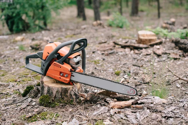 Electric, sharp orange chainsaw on wood stump in forest — Stock Photo