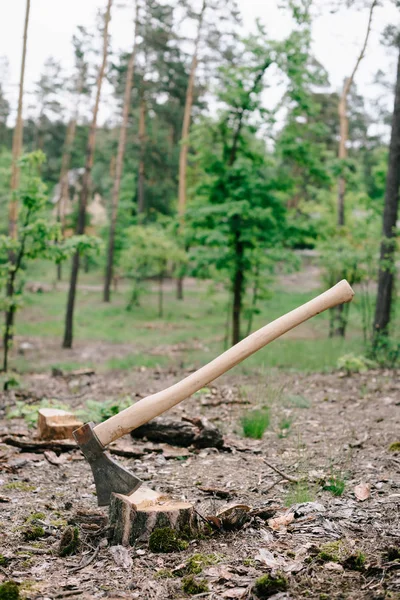 Heavy ax with long wooden handle on wood stump in forest — Stock Photo