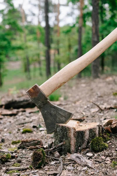 Hacha pesada y afilada con mango de madera en tronco de madera en el bosque - foto de stock