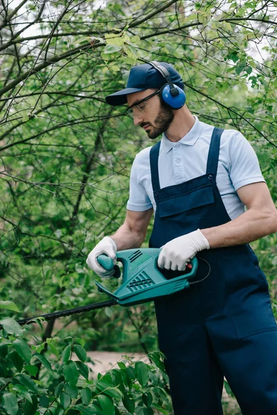 Gardener in noise-canceling headphones pruning bushes with electric trimmer — Stock Photo