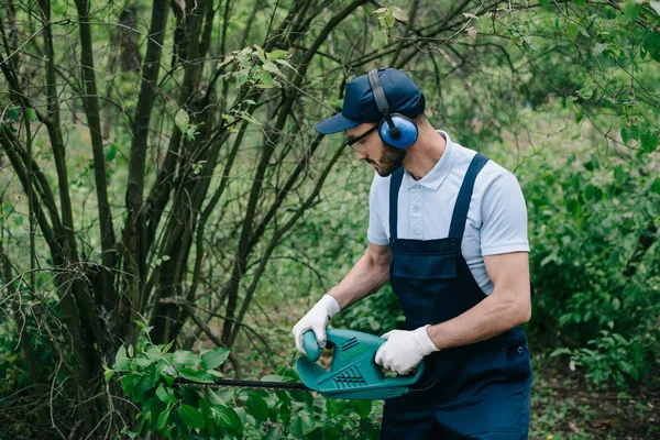 Gardener in noise-canceling headphones and overalls pruning bushes with electric trimmer — Stock Photo