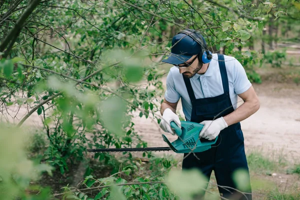 Selective focus of gardener in overalls and cap pruning bushes with electric trimmer — Stock Photo