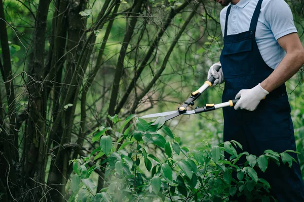 Cropped view of gardener cutting bushes with trimmer in park — Stock Photo