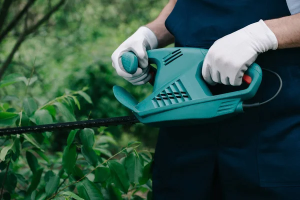 Vue partielle des buissons de taille de jardinier avec élageur électrique dans le parc — Photo de stock