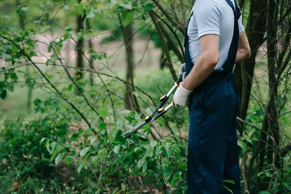 Vista recortada del jardinero en overoles cortando arbustos con trimmer en el jardín - foto de stock