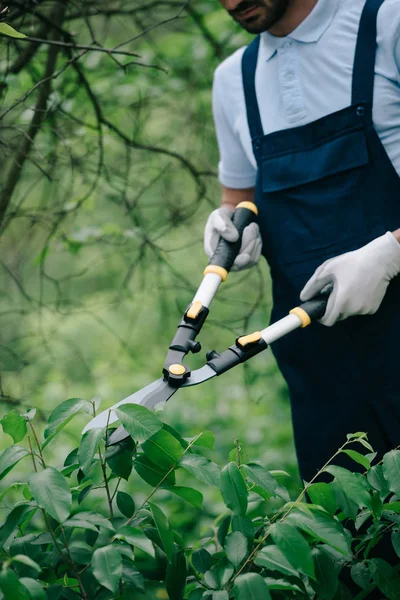 Cropped view of gardener in overalls cutting bushes with trimmer in park — Stock Photo