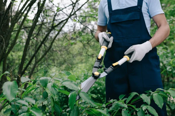 Vista parziale del giardiniere in tute da taglio cespugli con potatore in parco — Foto stock