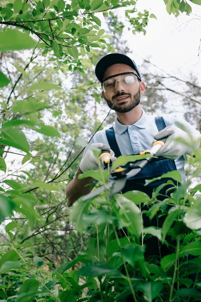 Selektiver Fokus des lächelnden Gärtners in Schutzbrille, der Büsche mit Trimmer im Park schneidet — Stockfoto