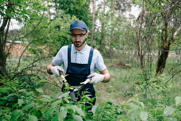Hermoso jardinero en gafas protectoras y monos cortando arbustos con trimmer en parque - foto de stock