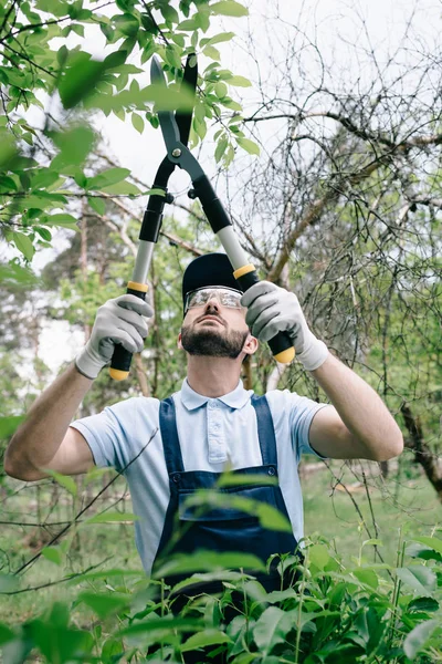 Вибірковий фокус уважного садівника в захисних окулярах і кущах для різання шапки з тримером в парку — стокове фото