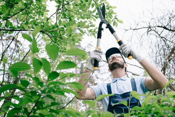 Selective focus of gardener in protective glasses and cap pruning bushes with trimmer in park — Stock Photo