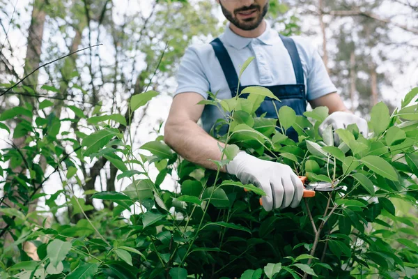 Vue recadrée du jardinier dans des gants élagage buissons avec tondeuse dans le jardin — Photo de stock