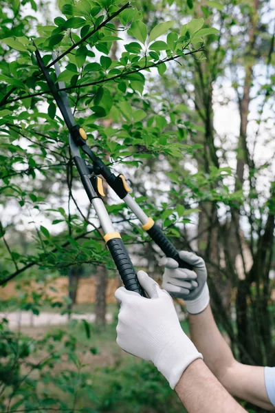 Partial view of gardener in gloves pruning trees with trimmer in garden — Stock Photo