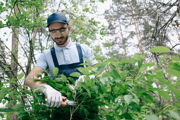 Positive gardener in protective glasses and cap cutting bushes with trimmer in park — Stock Photo