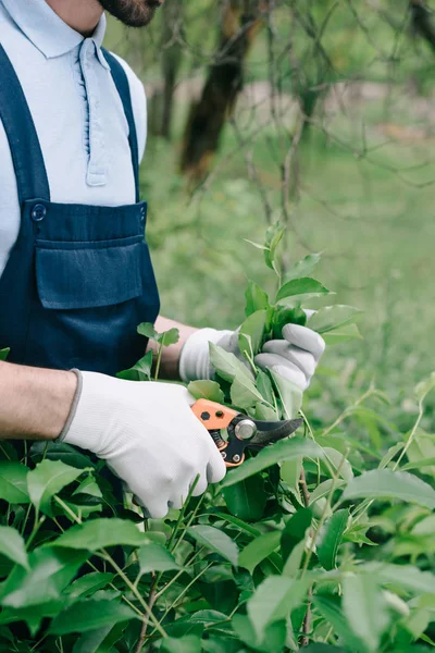 Vista parcial del jardinero en overol y guantes recortando arbusto con podadora en jardín - foto de stock