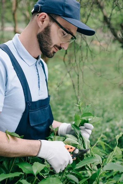 Hermoso jardinero en gafas protectoras y arbusto de poda gorra con trimmer en parque - foto de stock