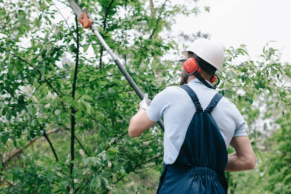 Vista trasera del jardinero en cascos y protectores auditivos recortando árboles con sierra telescópica - foto de stock