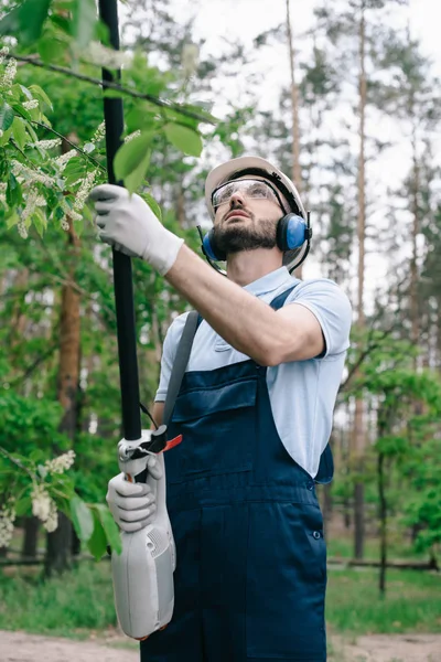 Jardineiro em capacete, óculos de proteção e protetores auditivos aparando árvores com serra de poste telescópica no jardim — Fotografia de Stock
