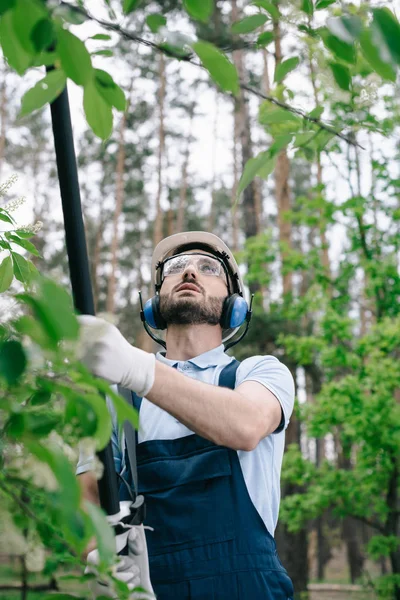 Вибірковий фокус садівника в шоломі, захисні окуляри і захисні окуляри для обрізання дерев з телескопічною полюсною пилкою в саду — стокове фото