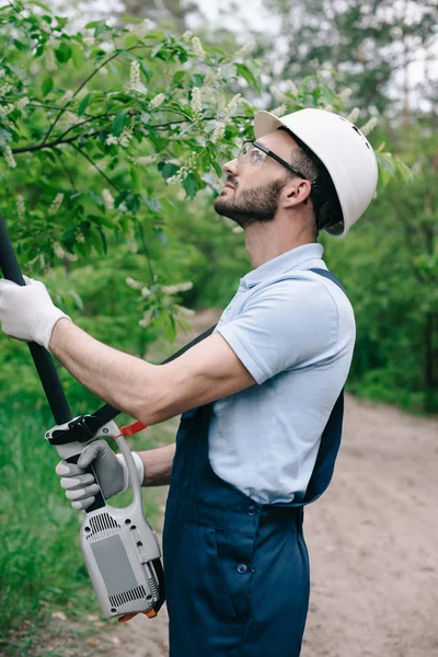 Giardiniere attento in casco e occhiali protettivi potatura alberi con palo telescopico sega in giardino — Foto stock