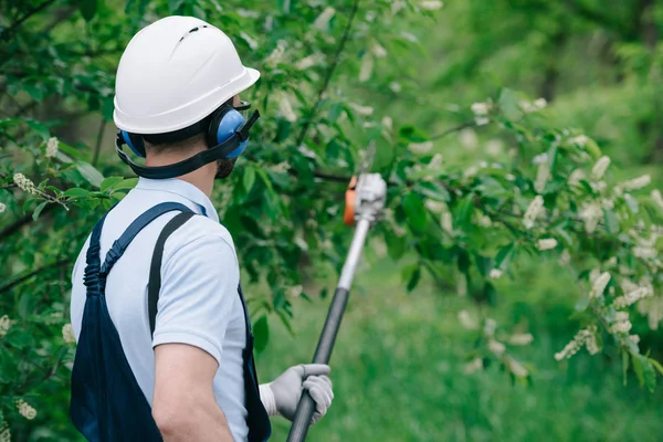 Vista trasera del jardinero en casco y orejeras recortando árboles con sierra telescópica en el parque - foto de stock