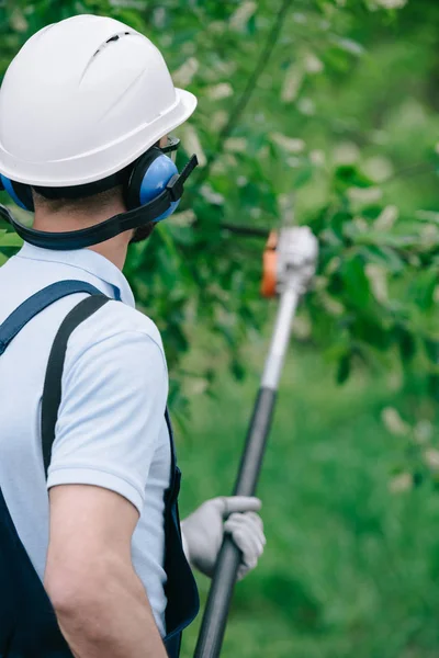 Back view of gardener in helmet and earmuffs trimming trees with telescopic pole saw in park — Stock Photo