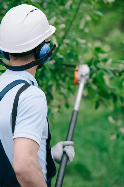 Vista posteriore del giardiniere in casco e paraorecchie potatura alberi con palo telescopico sega nel parco — Foto stock