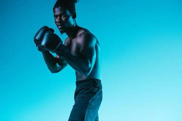 Без рубашки, мускулистый американский спортсмен бокс на синем фоне — стоковое фото