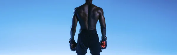 Back view of shirtless, muscular african american sportsman in boxing gloves on blue background, panoramic shot — Stock Photo