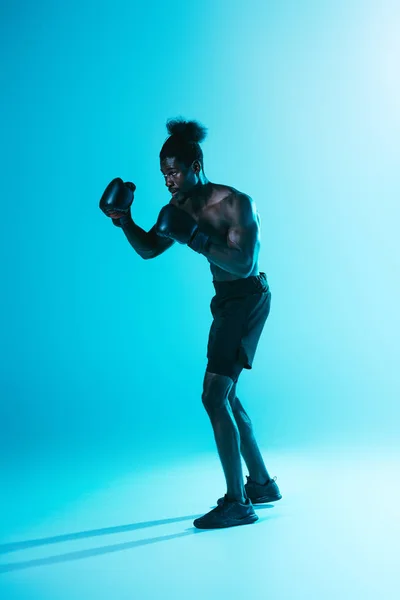 Serious african american sportsman in shorts and sneakers boxing on blue background — Stock Photo