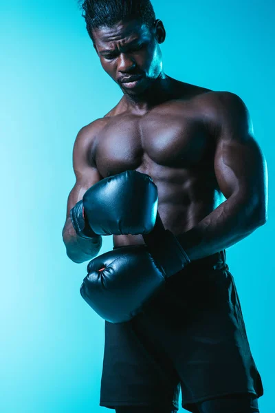 Sérieux sportif afro-américain fixant gant de boxe sur fond bleu — Photo de stock