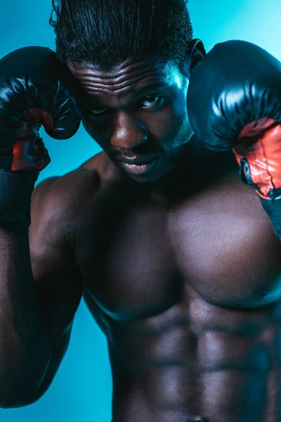 Впевненість афроамериканського спортсмена в боксерських рукавичках дивлячись на камеру на синьому фоні — стокове фото