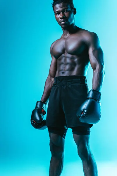 Серйозний, м'язистий афроамериканський боксер дивиться на камеру на синьому фоні — стокове фото