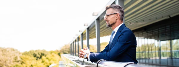 Panoramic shot of handsome businessman in formal wear and glasses looking away — Stock Photo