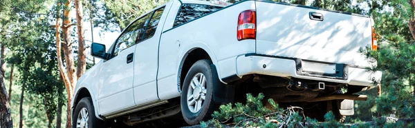 Tiro panorâmico de carro de luxo branco perto de árvores em bosques — Fotografia de Stock