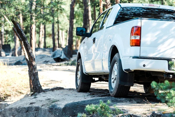 Voiture de luxe blanche et moderne près des arbres dans les bois — Photo de stock