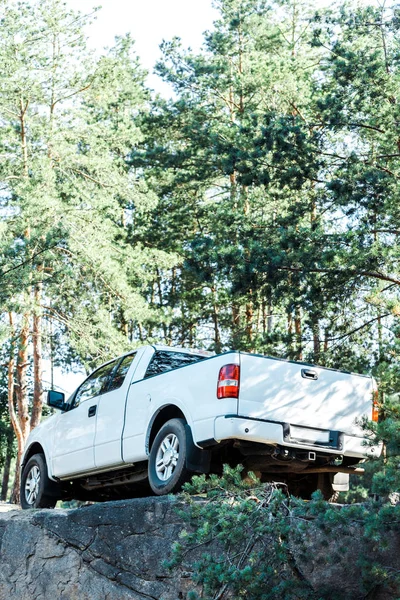 Низький кут зору сучасної білої машини в лісі — стокове фото