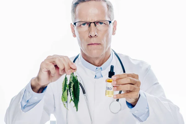 Красивий лікар у білому пальто тримає конопляну олію та марихуану ізольовано на білому — стокове фото
