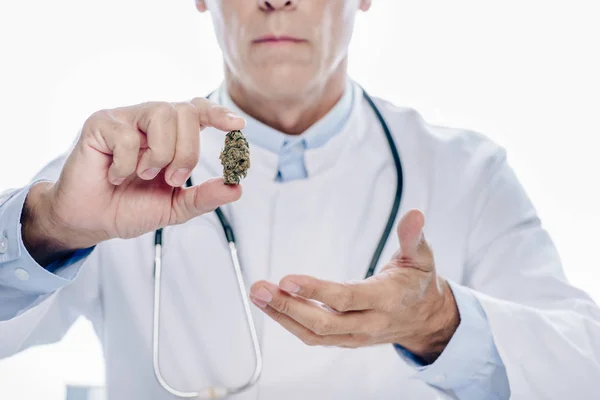 Обрізаний вид лікаря в білому пальто, що тримає медичну марихуану ізольовано на білому — стокове фото